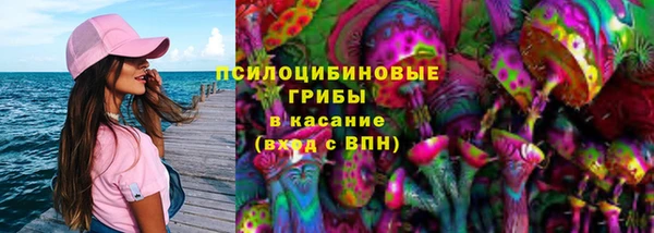 таблы Вяземский